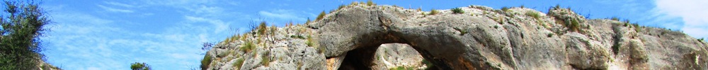 Floración en el Horno. Segura y Soto Zarzuela