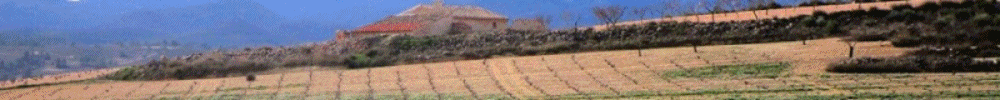 Cieza100, vuelta al término municipal
